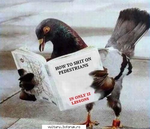 :rotfl:  :finger:  :rotfl:  :zzz:  :zzz:  :nebun:  :nebun: poze funny